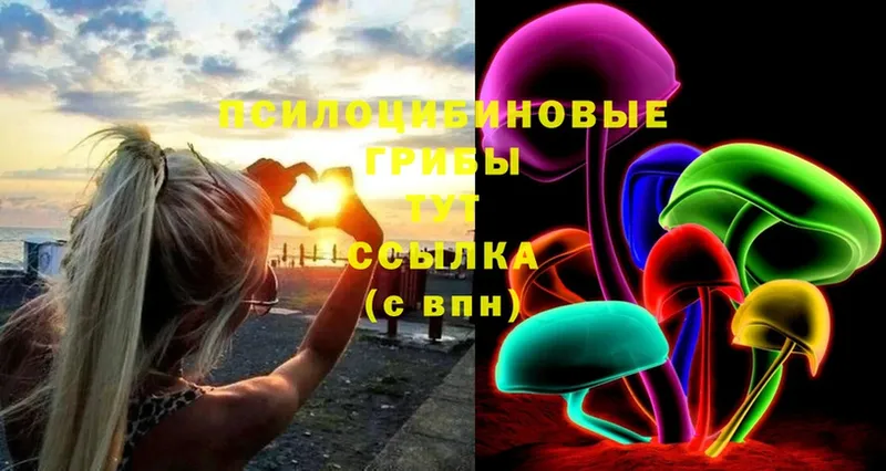 купить закладку  Хотьково  MEGA ссылки  Галлюциногенные грибы Psilocybine cubensis 